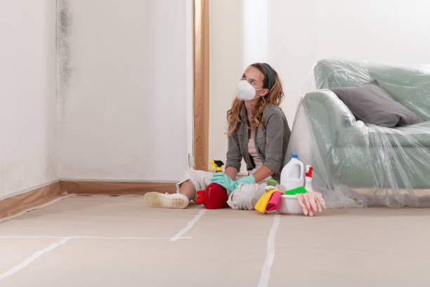 Reliable Black Mold Removal contractor in Abingdon, MD by WQB Mold Removal